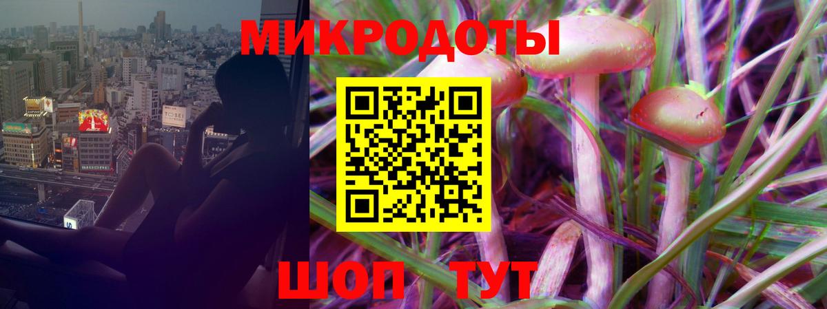 купить  цена  Псилоцибиновые грибы GOLDEN TEACHER  Вход с VPN  Гудермес 