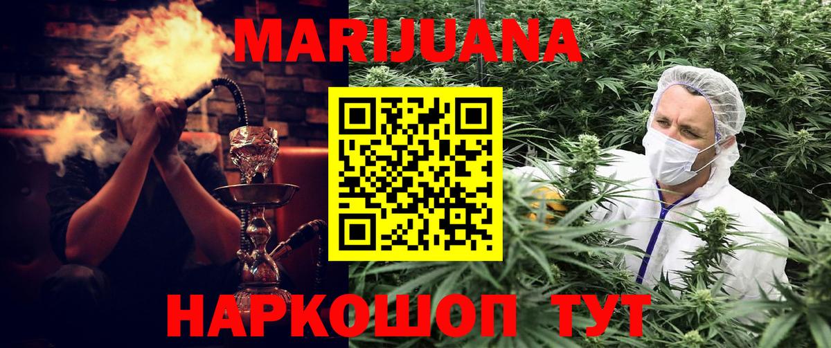 Бошки Шишки MAZAR  Вход с VPN  Марихуана MAZAR  Гудермес  Конопля сатива 